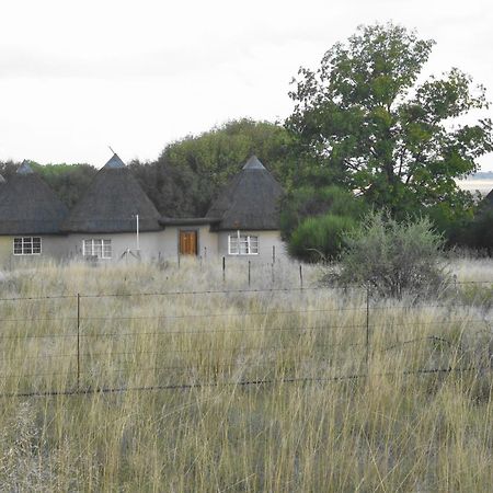 Van Zylsvlei - A Karoo Guest Farm Colesberg Bagian luar foto